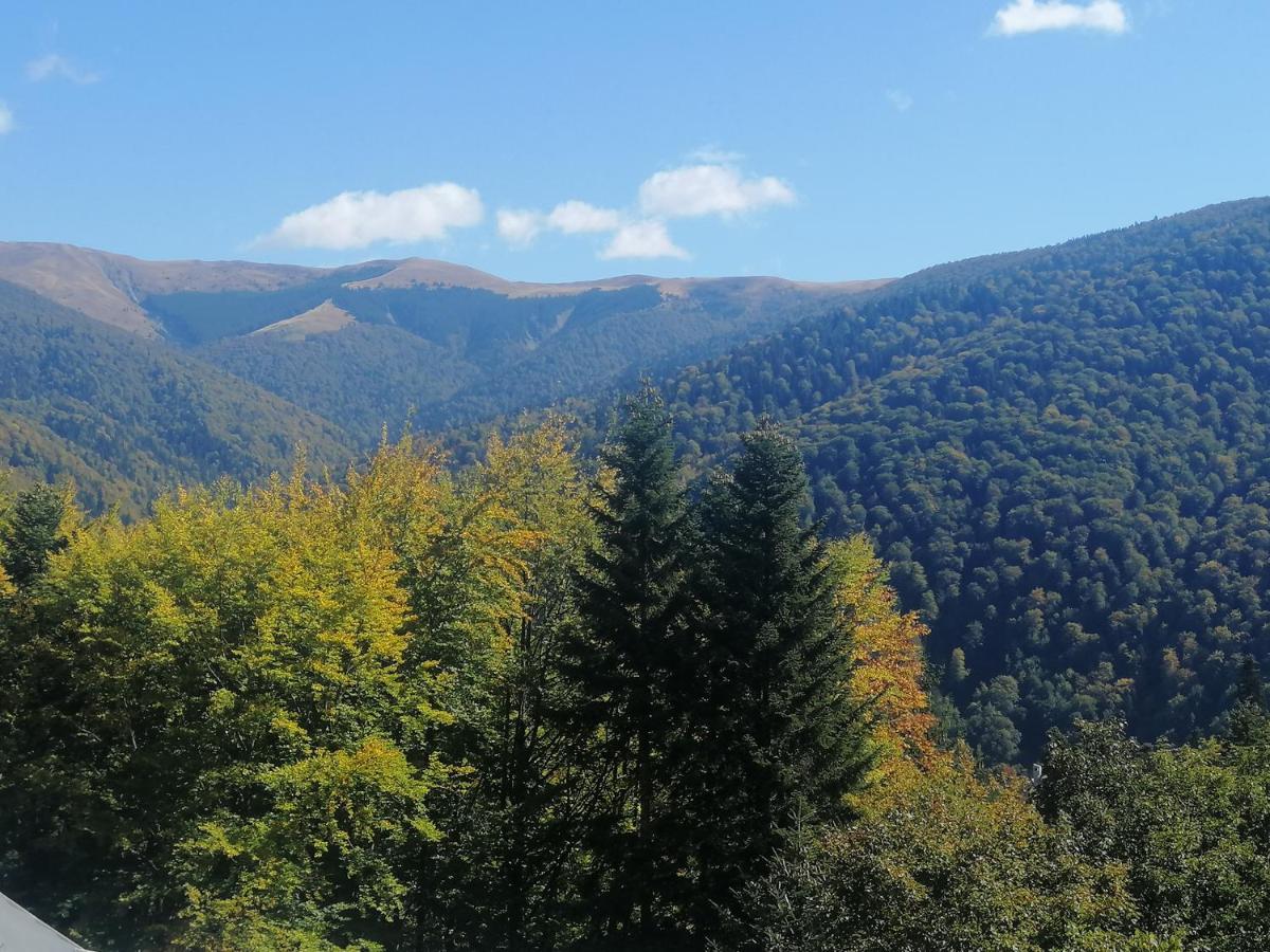 The Rock Sinaia Exterior foto