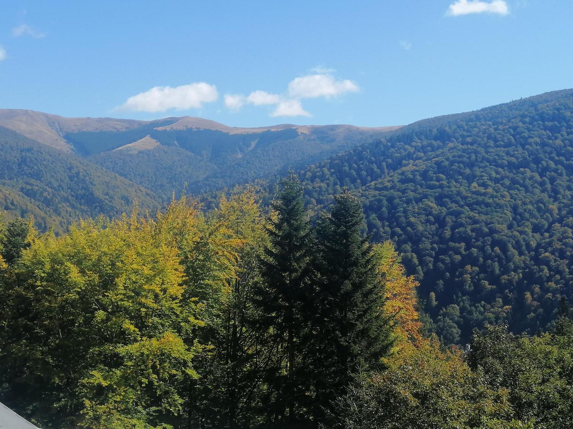 The Rock Sinaia Exterior foto